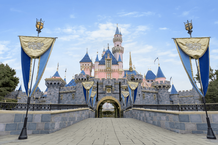 Sleeping Beauty's Castle